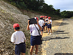 Img_3105 Img_3105